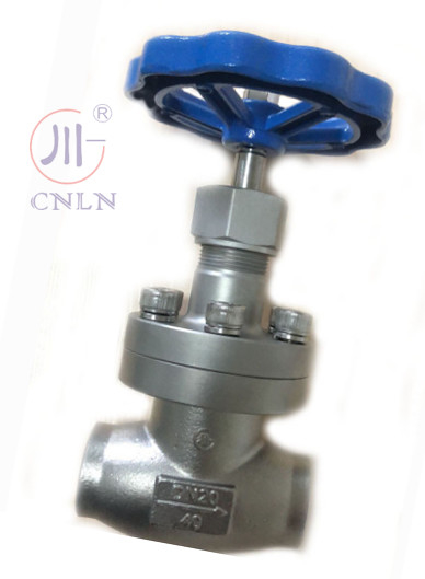CNLN/Arman DJ61F-40P SS304/316 Criogénica válvula de globo corto tipo de tallo A ((DN10-100mm) para sistemas de GNL / LOX / LN2