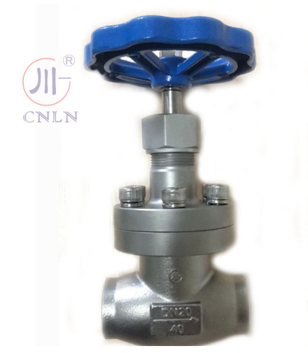 CNLN/Arman DJ61F-40P SS304/316 Criogénica válvula de globo corto tipo de tallo A ((DN10-100mm) para sistemas de GNL / LOX / LN2