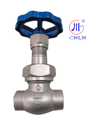 CNLN/Arman DJ61F-40P SS304/316 Criogénica válvula de globo corto tipo de tallo C ((DN10-50mm) para sistemas de GNL / LOX / LN2