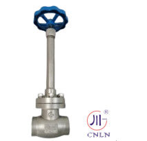 La valva de globo de baja temperatura de acero inoxidable para GNL/LOX/LN2/LAR/LCO2