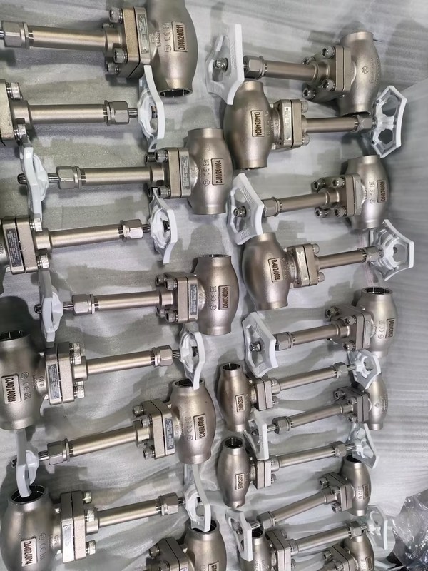 Válvula de globo criogénica DN25 de acero inoxidable 304/316 con sello de PTFE y cuerpo de válvula CF8/CF3 para aplicaciones de -196°C a +80°C