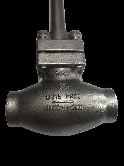 Válvula globular criogénica de acero inoxidable 304/316 con presión máxima de 5,0Mpa y rango de temperatura de -196°C a +80°C