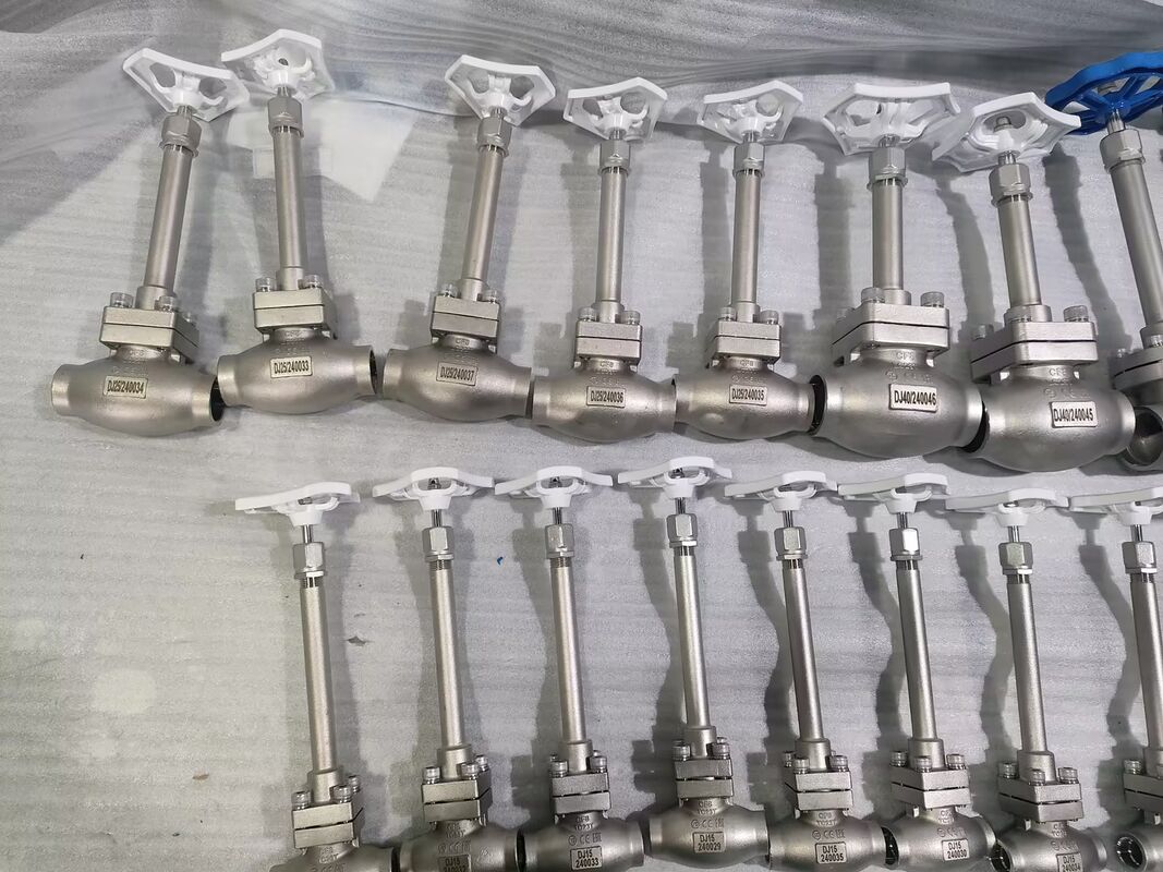 DN32 válvula de globo criogénico de acero inoxidable 304/316 con presión máxima de 5,0Mpa y rango de temperatura de -196°C a +80°C